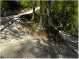 Planina Zajavornik - Viševnik